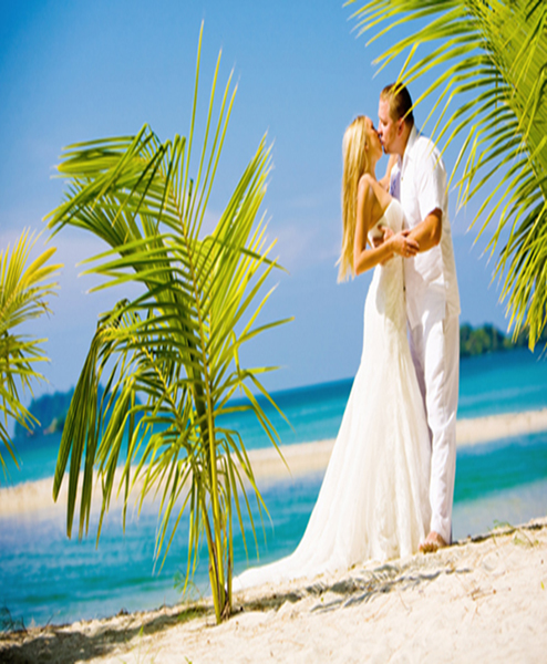 Amazing Honeymoon AMAZING HONEYMOON